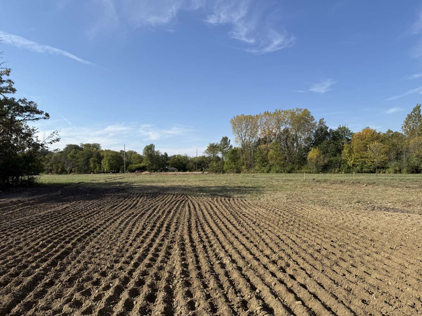 PH2 Hamilton Road Project 03